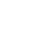 BVA Logo